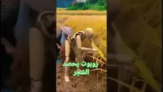 الصين تصنع روبوت يقوم بحصاد الشجر