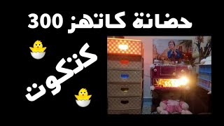 صايبت حضانة كاتهز 300 فلوس من السمان بارخص ثمن??