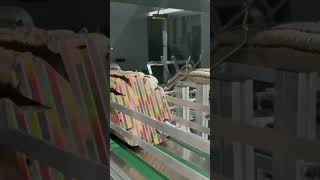 Automatic Dual-Lane Paper Punnet Former | KSH-3000 Paper Punnet Former Machine