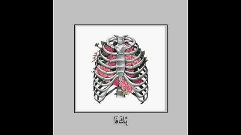 سورة الشرح - خالد الجليل /حالات واتس اب اسلاميه