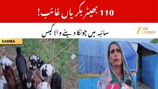 Samba Theft Alert : 110 Goats Stolen, Authorities Pledge to Catch Thieves | JammuKashmir | ZeeJKL