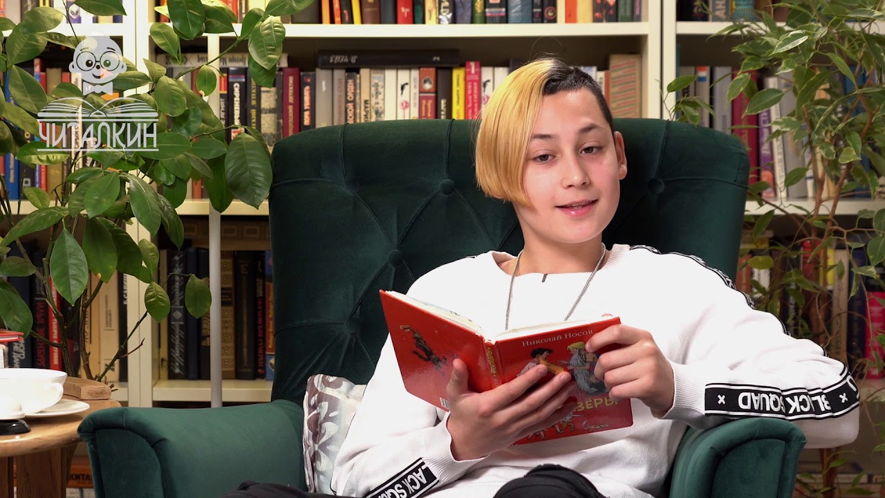 "Фантазеры. Шурик у дедушки". Николай Носов. Читает Егор Чичин. - YouTube