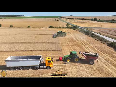 Perfekte Logistik Dreschen & auf LKWs Verladen Weizen, Gerste,Raps,Roggen Dreschen Mähdrescher 2026