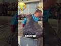 He did not succeed #funny #shorts