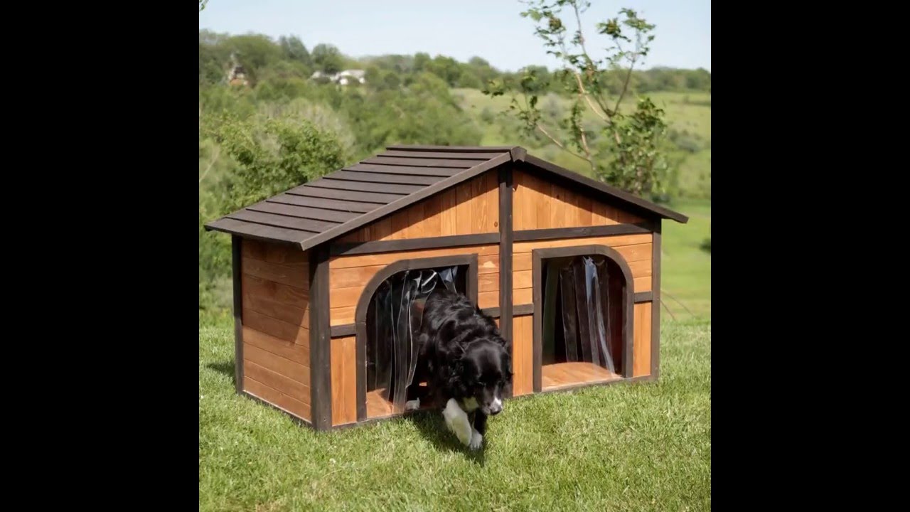 Merry Products Darker Stain Duplex Dog House with FREE Dog  Merry Products Darker Stain Duplex Dog House with FREE Dog