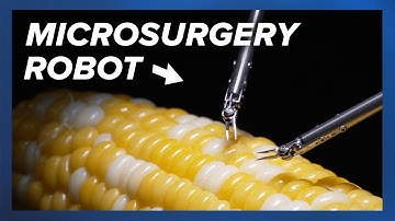 🤖🌽 New robot conducts microsurgery on corn kernel