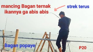 @bijetukangmancing.mancing Bagan ternak full strek #fishing #mancingbagan