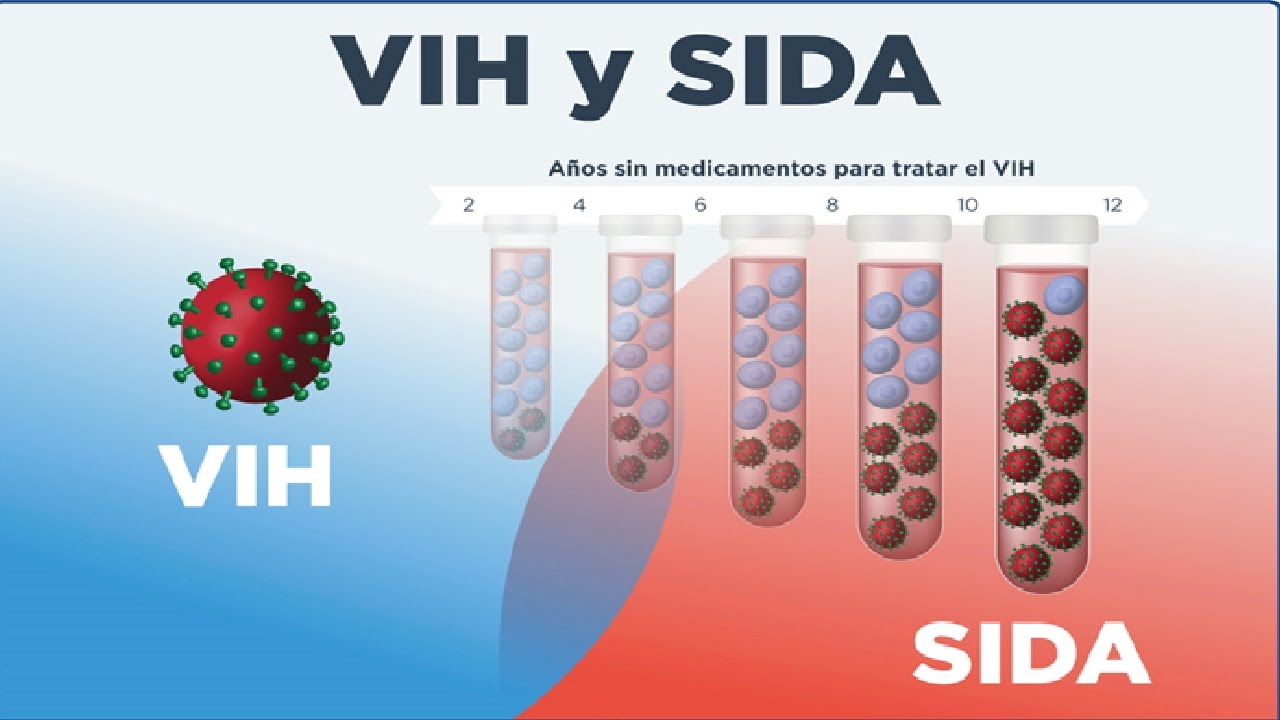Etapas Del Sida - YouTube Etapas Del Sida - YouTube