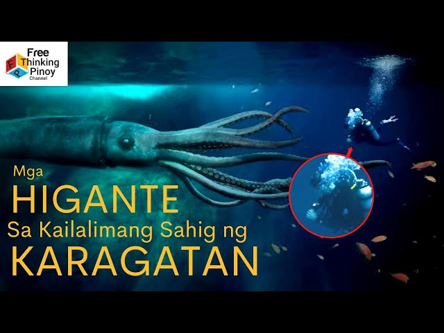 DEEP SEA GIGANTISM explained | Bakit Malaki Ang Mga Hayop sa ilalim ng dagat? class=