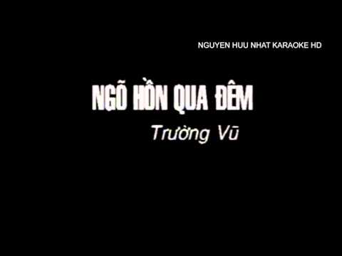 Karaoke - Ngõ Hồn Qua Đêm - Trường Vũ HD