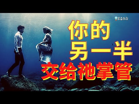 生命智慧 123   【上帝在掌管】 - 我应该结婚吗？谁会是那个正确的人呢？上帝的旨意如何应用在魂萦生活中？装备生命