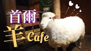 韓國首爾: 羊羊Cafe - Thanks Nature Cafe 