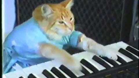 Happy birthday 8 bit cat