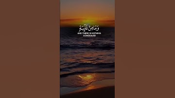 #قران_كريم #راحة_نفسية #تلاوة_خاشعة #ياسر_الدوسري