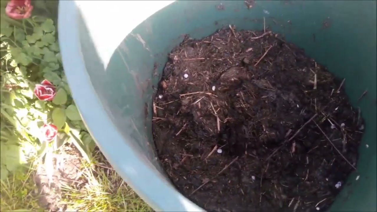 Rasenschnitt und Stroh als Mulch, ein kleiner Vergleich / Boden schützen und Wasser sparen mit Mulch