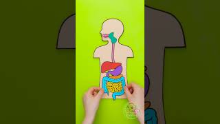 What Drinking Too Much Water Does To Your Body