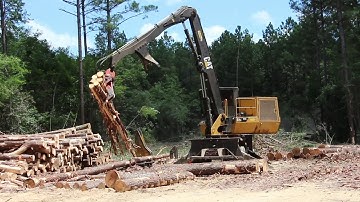 Timber Harvesting