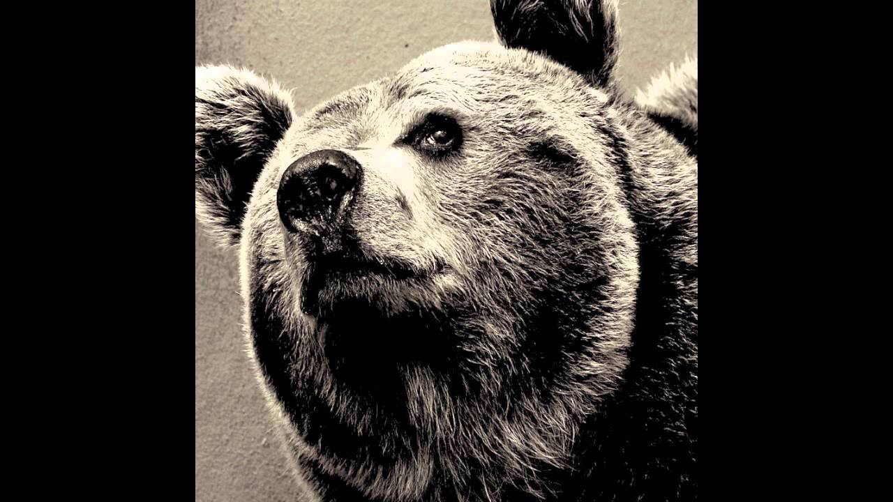 Bear//Face Taste My Sad (True Key RMX) YouTube