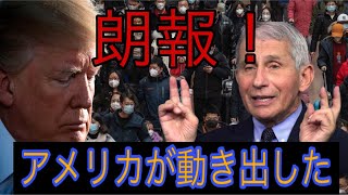 警察官ゆりのアメリカ生活の配信のサムネイル画像