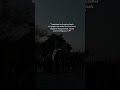 Sometimes We Forget to Say Thank You | Gratitude &amp; Appreciation Quote  #ytshorts #viral #fyp