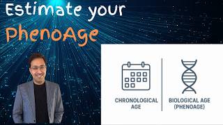 Estimating your biological age using routine blood test results