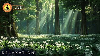 🔴 Relaxing Music for Stress Relief and Meditation, Peaceful Music, Soothing Music, Flowing Water