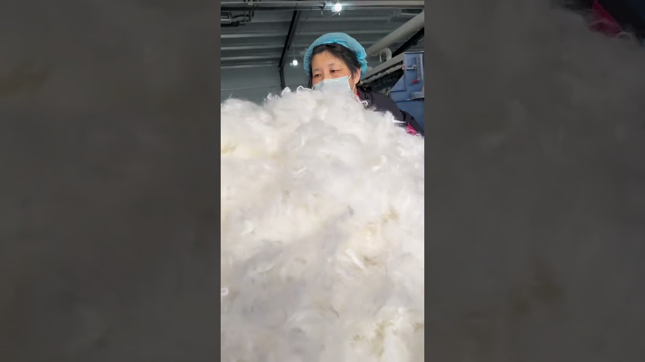 The process of turning sheep wool into a luxury blanket