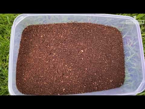 You can fertilize these 15 plants with coffee hqdefault