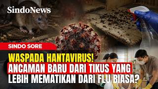 Waspada Hantavirus! Ancaman dari Tikus yang Lebih Mematikan dari Flu Biasa?  | Sindo Sore | 09/05