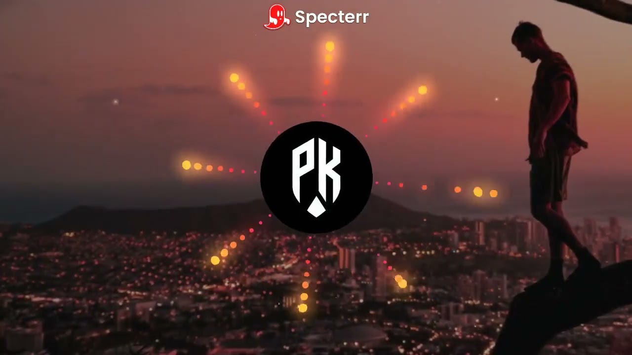 "ALAN WALKER" HOUSE TYPE BEAT 