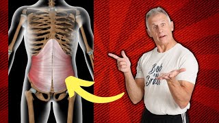 The One Muscle That Can Help Your Back Pain