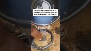 Poultry Biosecurity: How We Clean and Disinfect Equipment Before New Chicks Arrive 🐔🧼 | Farm Routine