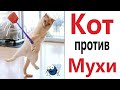 Лютые приколы. КОТ ПРОТИВ МУХИ!!! Тест на психику! Засмеялся проиграл! – Domi Show!