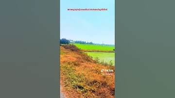 [2071] chủ cần bán hơn 10 mẩu đất.đê bao 3 vụ.tại mộc hóa long an