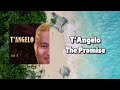 T Angelo The Promise Official Visualiser
