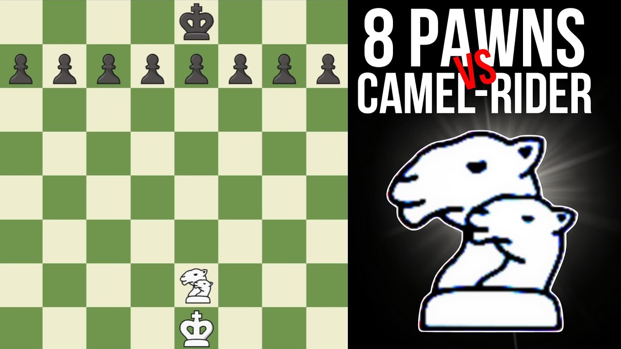 When THE CAMEL-RIDER enters the board! - YouTube