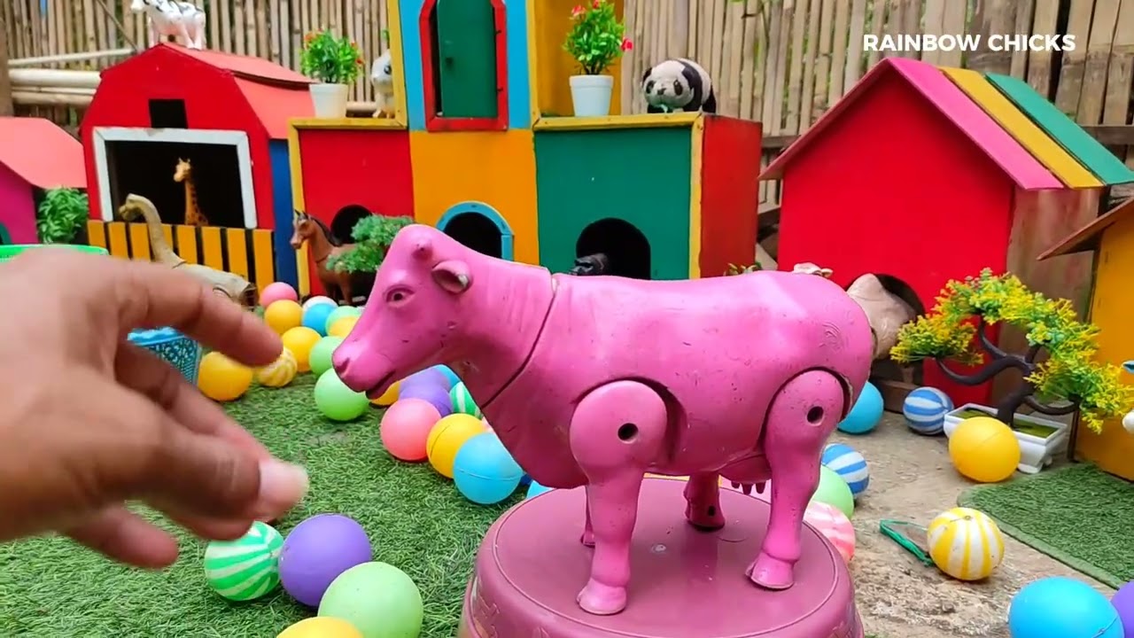 Catch Cute Chickens, Colorful Chickens, Rabbits, Goose goose ducks, Rainbow chicks