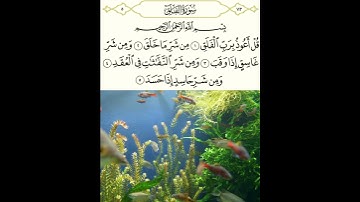 سورة الفلق بصوت الشيخ سعد الغامدي #سورة_الفلق  #الشيخ_سعد_الغامدي #سورة_الفلق_مكتوبة