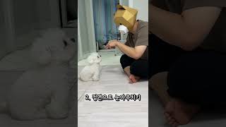 강아지가 극혐하는 행동들 !!