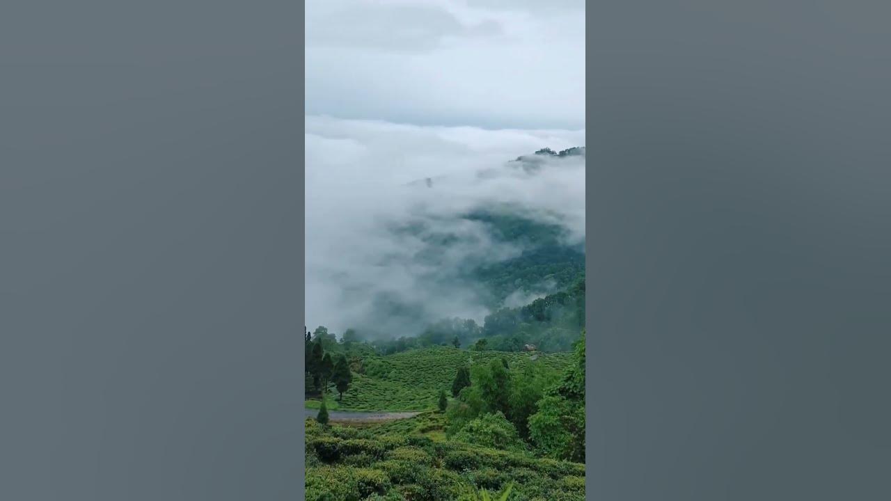 Kurseong Weather 🏞️ kurseong darjeeling kurseongtour shorts YouTube