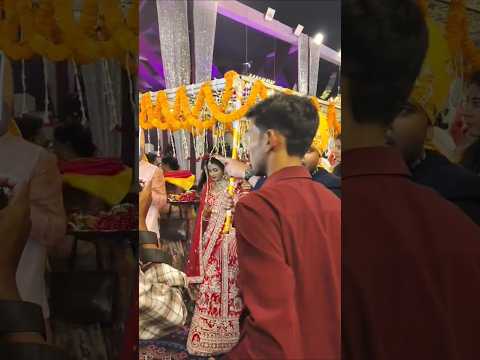बाबुल की गली अब छुट रही है ???????????????? #shortsfeed #shorts