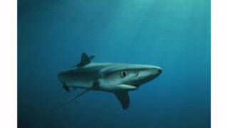 Famous MovingIdeasForward Ricoh Wealth