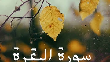 سورة البقرة كاملة للشيخ هاني الرفاعي بصوت عذب و جميل و تلاوة رائعة و بدقة عالية ... توقف و أرح قلبك