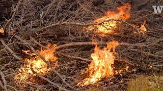 What fuels a wildfire and what can homeowners do to protect their homes