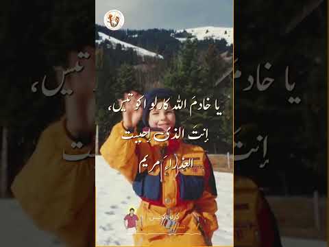 اليوم السابع - تساعية الطوباوي كارلو أكوتيس