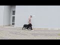 Агрессивный кане корсо, 4 года. 3 занятие. Поведение собаки изменилось. #кинологминск #кинолог