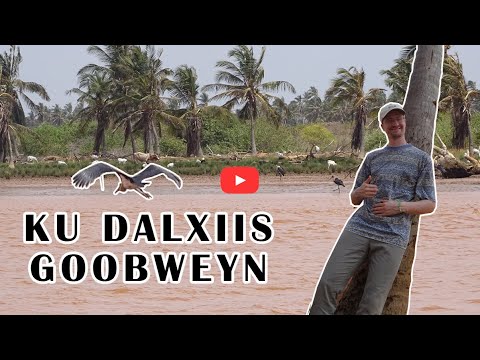 KISMAYO GOOBWEYN  SAFARI TOUR DAY 2 | 4K 2021 |  KU DALXIIS