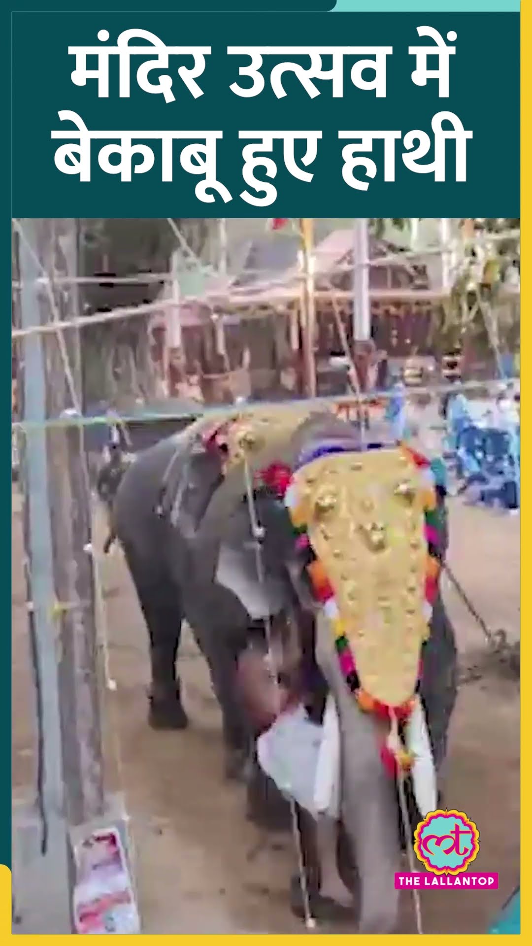 Kerala के मंदिर उत्सव में बेकाबू हाथियों का कहर, हादसे में 3 की मौत, 30 घायल