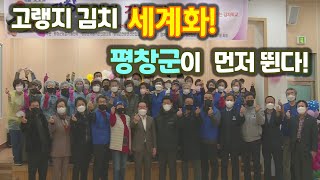 [ 귀농귀촌TV] 고랭지 김치 세계화! 평창군이 먼저 뛴다! / 오감만족 평창 고랭지 김치 담그기 1편
