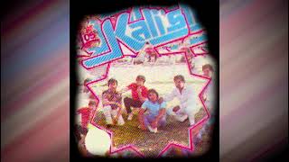 LOS KALI'S  DISCO COMPLETO  10 CANCIONES PEGADITAS by gruperron 595 views 1 month ago 35 minutes